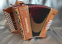 Castagnari Handry 18 - 3V - 18 basses